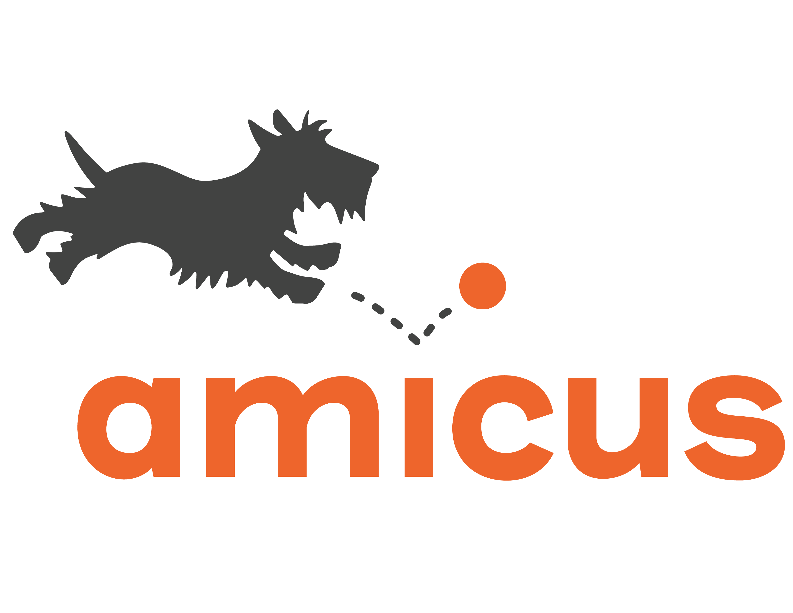 Amicus