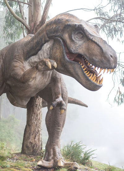 Dinosaurs